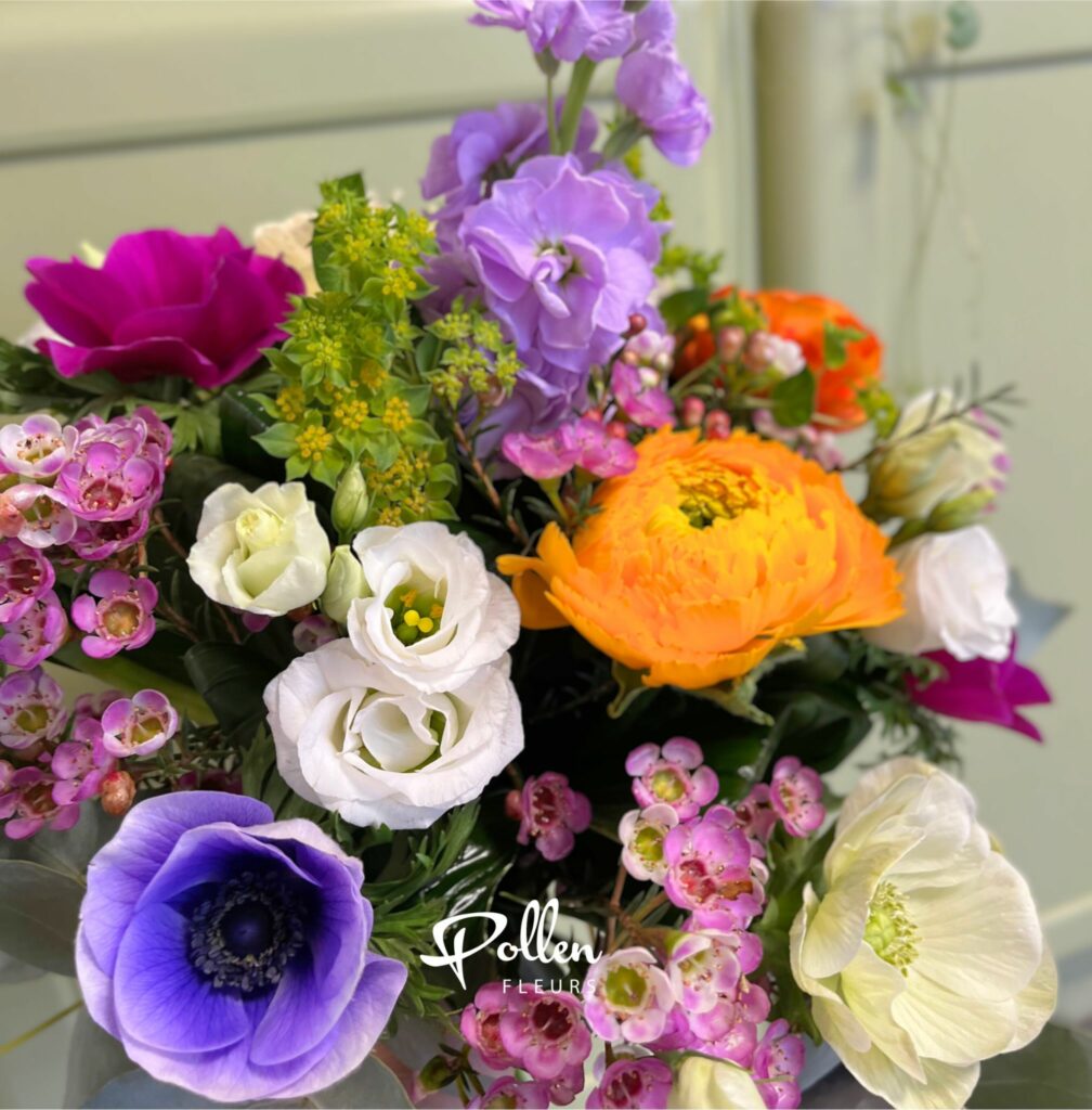 Avec l’arrivée de l’hiver, la nature nous offre à nouveau des fleurs de saison pleines de charme. Les renoncules, anémones, giroflées, genêt... font leur retour en boutique, issues de productions françaises, pour fleurir vos intérieurs.
Découvrez également les premiers bulbes d’hiver, comme les jacinthes de pays et les majestueux amaryllis, parfaits pour accompagner cette période festive.