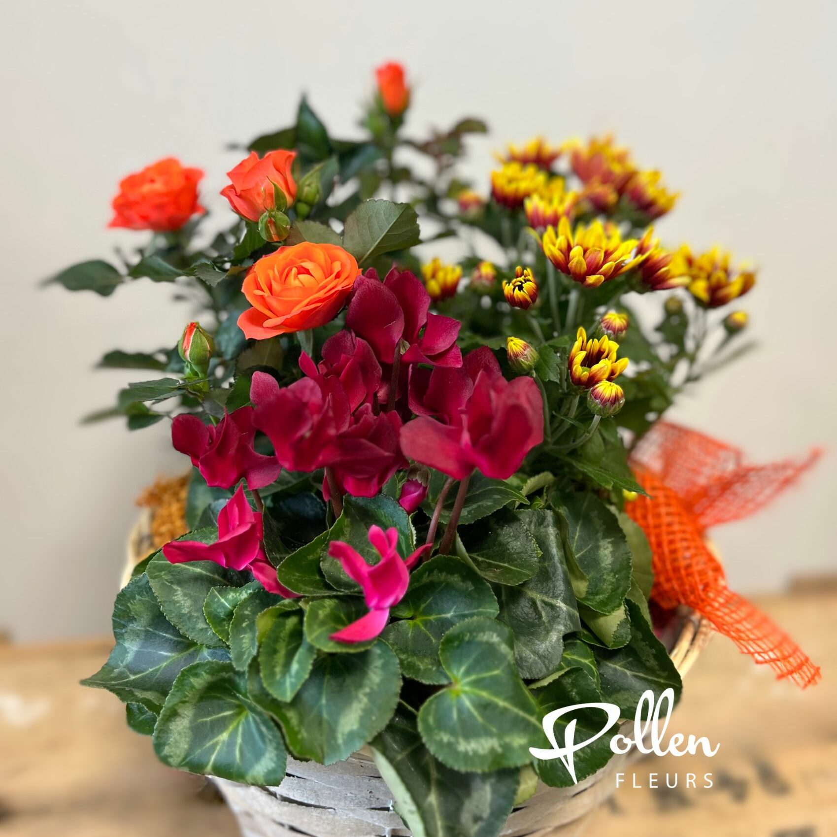 Coupe de plantes colorées dans une vannerie