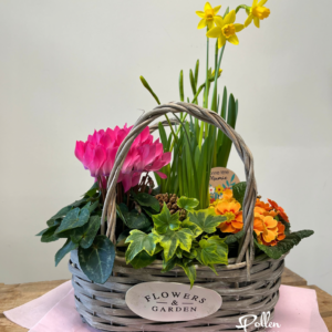 Mamie chérie - Jardin de plantes