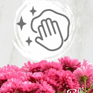 Forfait Chrysanthème + Entretien de Tombe